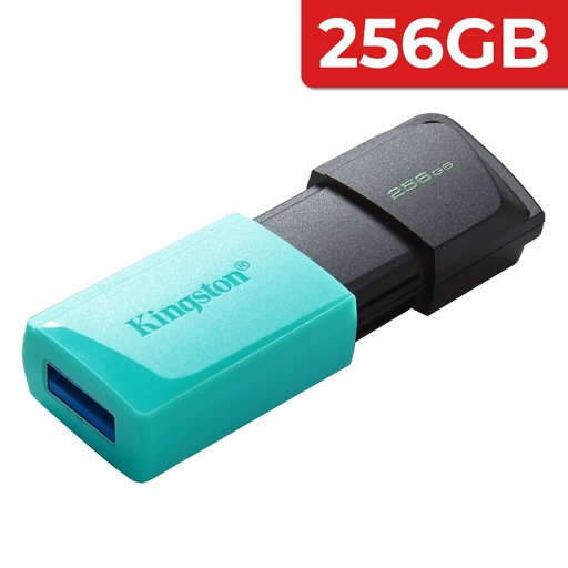 USB 256G KINGSTONE EXODIA